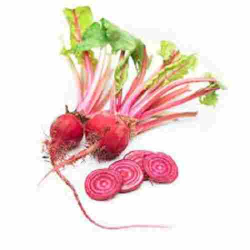 Oval-Round Shape Rich In Dietary Natural And Organic Healthy Fresh Beetroot
