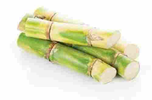 Pesticides Free Healthy And Fresh Sweet Long Sugarcane For Raw Products