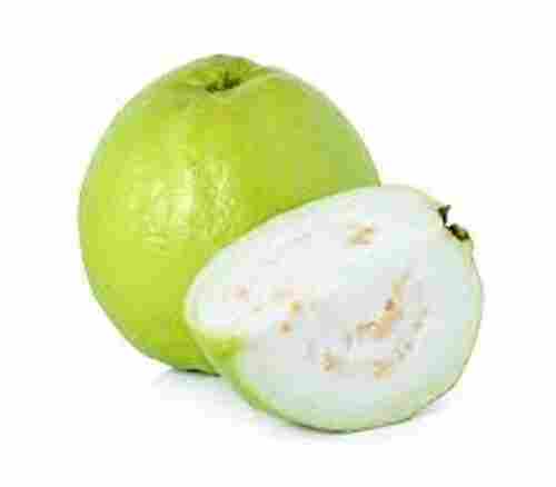 High In Antioxidants And Organic Oval Shaped Light Green Fresh Guava Fruit