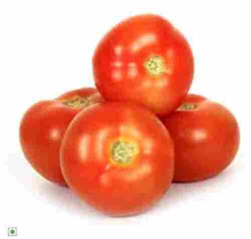 Rich In Nutrients Organic Round Raw Fresh Flavorful Natural Red Tomato