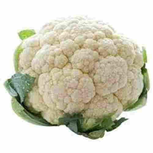 Healthy & Nutritious High Fiber Preserved Raw Fresh Round Cauliflower 