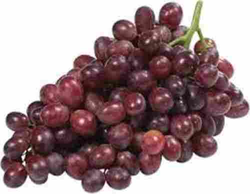 Indian Origin Common Cultivation Round Shape Sweet Taste Brown Fruit Grapes