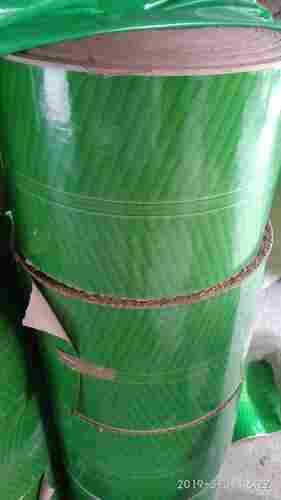 Waterproof Green Kela Patta Paper Roll for Making Disposable Plates