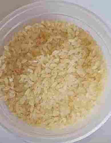 Indian Origin Common Cultivated Dried Healthy Non-Sticky Short Grain Samba Rice