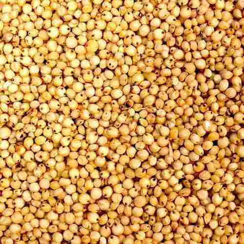High-Quality And Clean No Preservatives Added Pure Organic Sorghum Grains