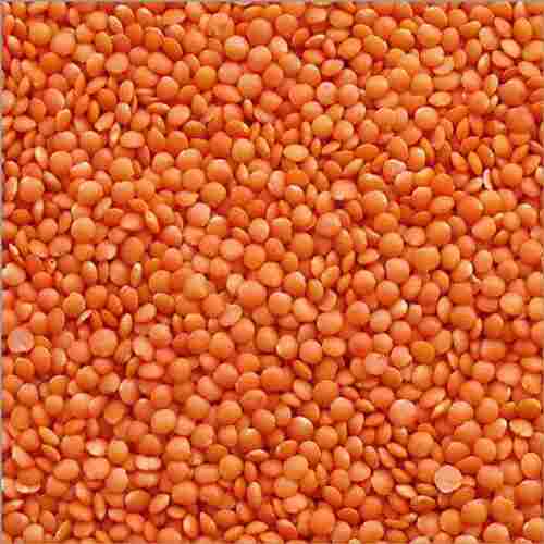 100% Pure And Natural Indian Originated Masoor Dal, Shelf-Life Up To 1-2 Years