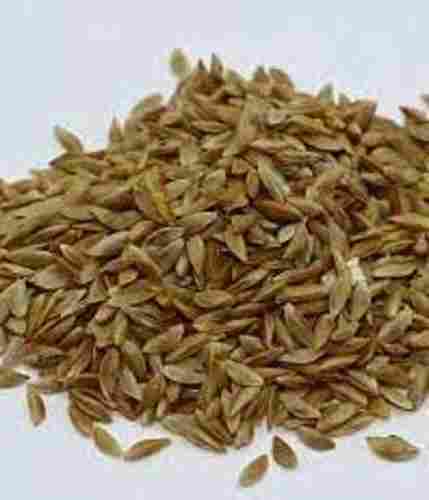 Natural Lucerne Grass Seeds For Herbs, Packaging Size: 20 Kg