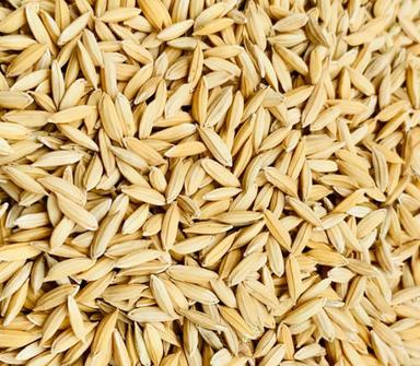 Medium Grain Natural And Pure Food Grade Dried Hybrid Rice Seeds