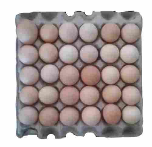 Chicken Origin Oval Shape Medium Size Poultry Farm Fresh Hatching Eggs