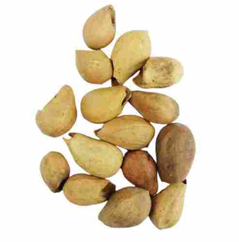 1 Kilogram Commonly Cultivated Pure And Natural Khamer Tree Seeds