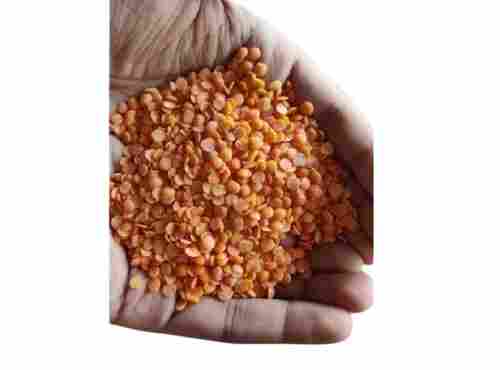 High In Protein Unpolished Masoor Dal