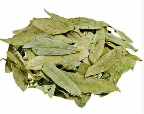Free From Impurities Good In Taste Easy To Digest Natural Dried Senna Leaves