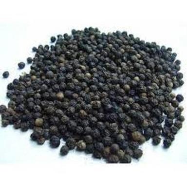 Common Black Pepper Seed