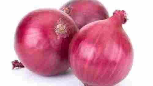 100% Naturally Grown Fresh Round Shape Healthy Raw Red Onion