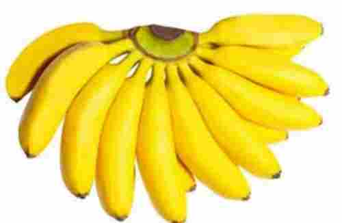 Indian Origin Long Shape Common Fresh Sweet Taste Yellow Banana