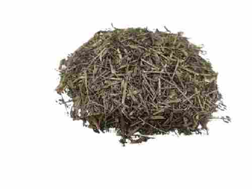 Dried Kkalmegh (Andrographis Paniculata) For Medicina Uses
