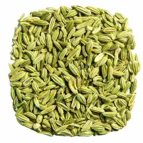 Pure And Dried Granule Anise Flavor Raw Fennel Seeds