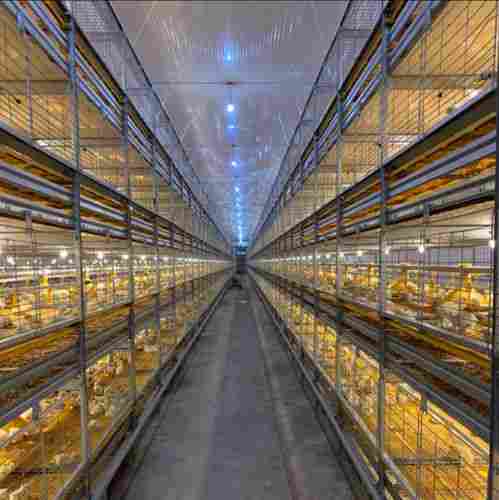 H Type Poultry Broiler Battery Cage With 54 Inch Exhaus Fan And 20 Ton Silo