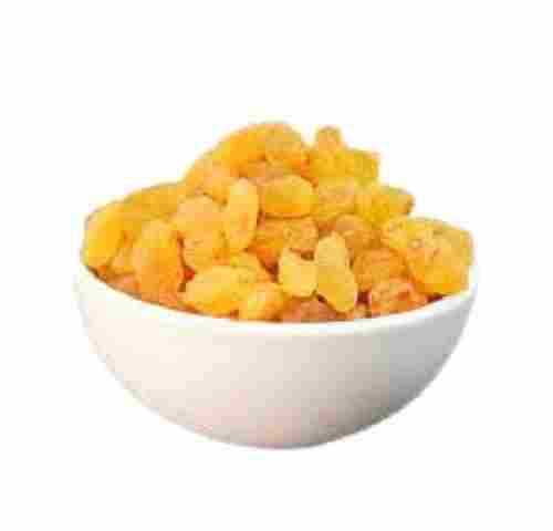 Healthy And Nutritious Sweet Taste Light Yellow Kismis