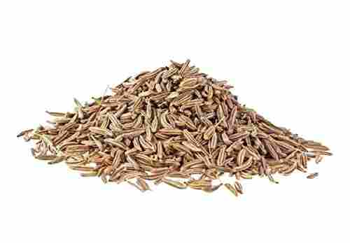 No Artificial Hygienically Packed Spicy Cumin Seeds