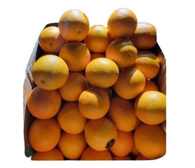 Rich In Taste Fresh Oranges Fruit