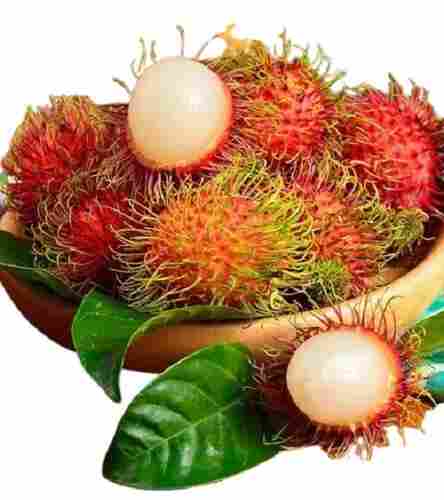 Indian Origin Naturally Grown Rambutan Fruit