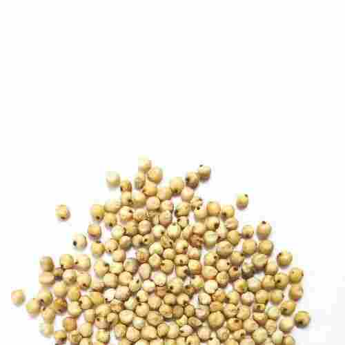 Export Quality Dried Whole Sorghum Seeds
