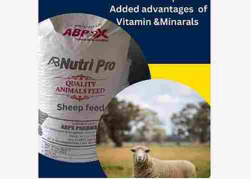 Free From Impurities Easy To Digest Sheep Feed
