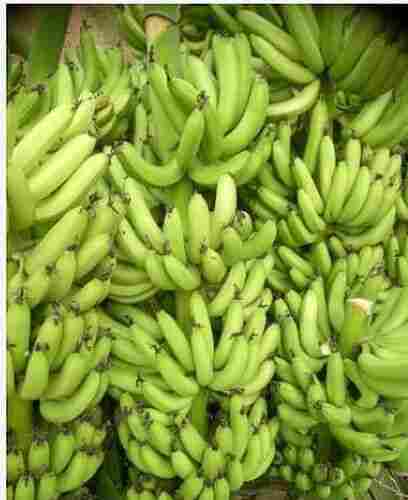 Rich In Fiber Green G9 Banana