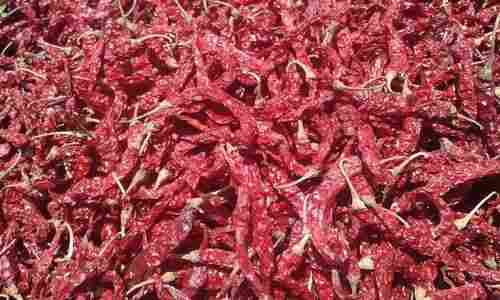 Byadgi Dry Red Chillies