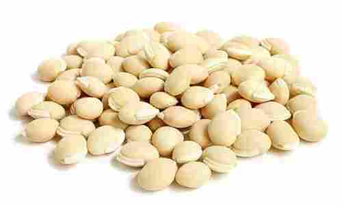 White Field Beans 