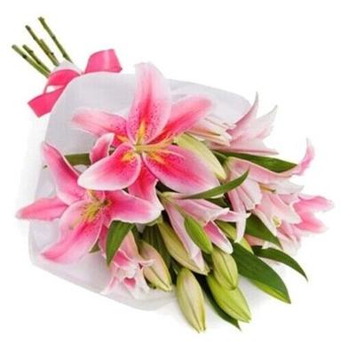 Pink Lily Flower For Household And Decoration Use