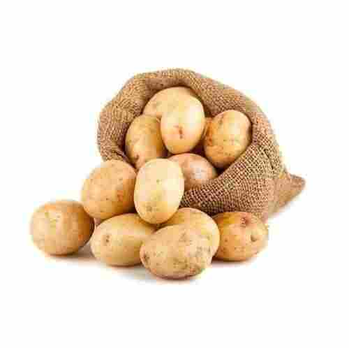 Brown Fresh Potato