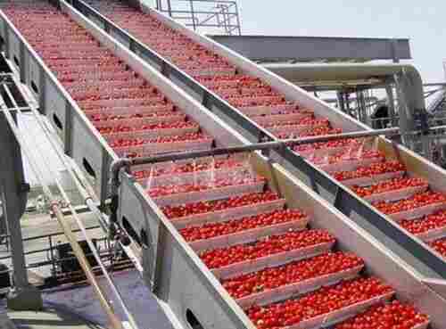Tomato Processing Machine
