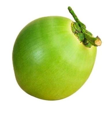 A Grade Pure Organic Pollachi Green Tender Coconut 
