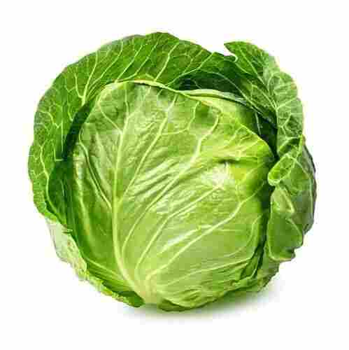 Natural Fresh Cabbage