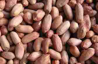 High Grade Peanut Kernels