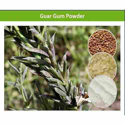 Genuine Quality Guar Gum Textile Thickener