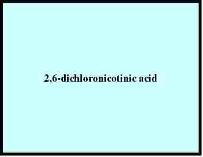  2,6-डाइक्लोरोनिकोटिनिक एसिड 