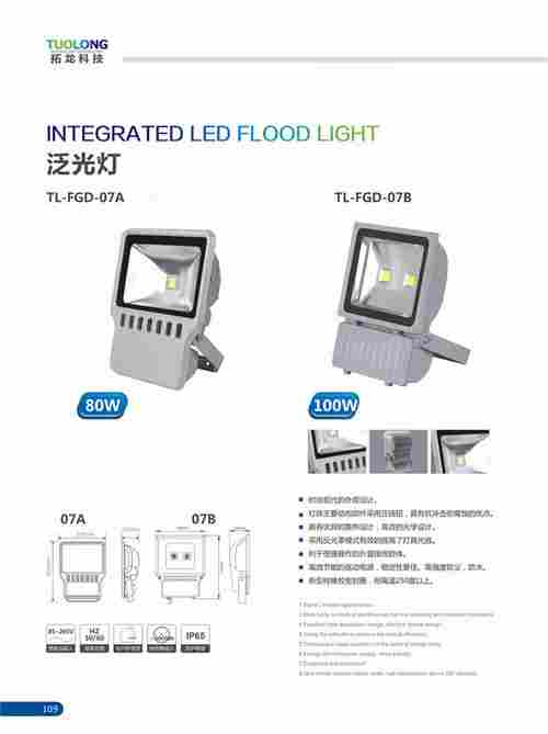 10W 30W 50W 80W LED Floodlight Outdoor Flood Light