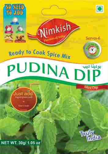 Pudina And Mint Dip