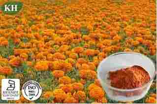 Natural Marigold Extract Lutein 5%-80%, Zeaxanthin 5-60%