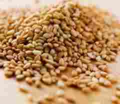 Indian Sesame Seed