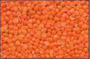 Organic Pulses Moong Lentil/ Red Lentil