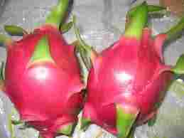 Dragon Fruit With Red Flesh