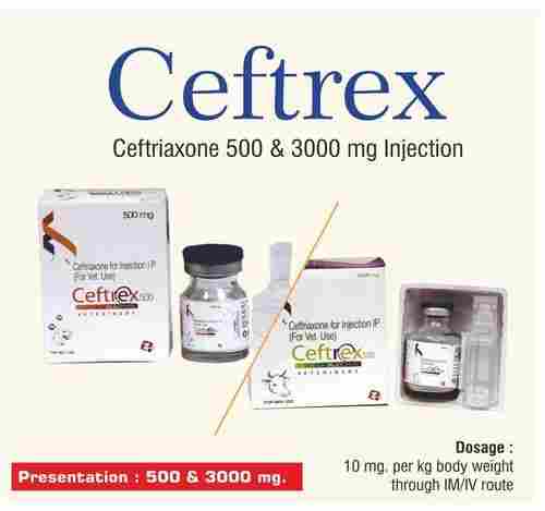 Ceftriaxone 500 and 3000 mg Veterinary Injections
