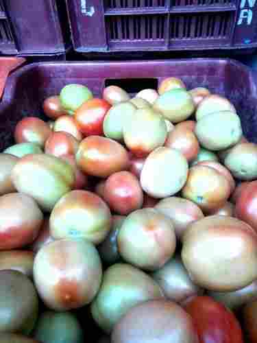 Fresh Nashik Tomatoes