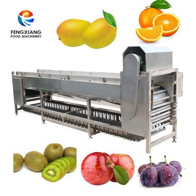 Og-606 Vegetable Fruit Grading Machine Capacity: 1-5 T/Hr