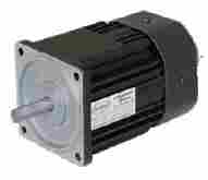 Totally Enclosed Single Phase 90 Watt Induction Motor with 1 Year Warranty