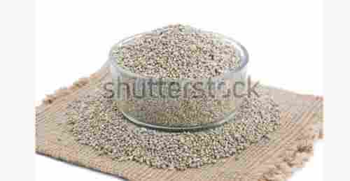 Green Millet (Bajra)